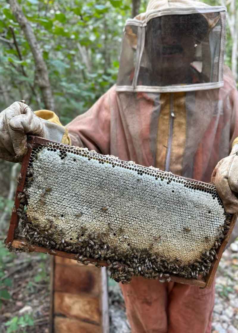 prysma-origenes-digital-03